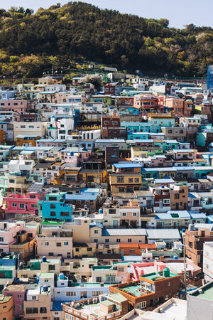 View of Gamcheon Culture village, Busan city, South Korea, Gamcheon-dong, Saha District, beautiful view of streets and multicolored houses in a summer sunny day, Republic of Korea travelの写真素材