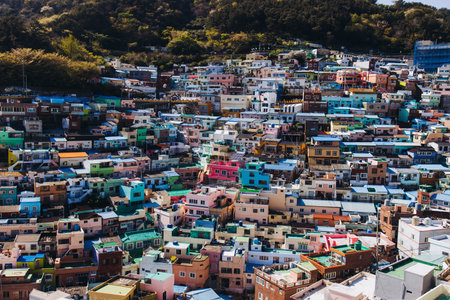 View of Gamcheon Culture village, Busan city, South Korea, Gamcheon-dong, Saha District, beautiful view of streets and multicolored houses in a summer sunny day, Republic of Korea travelの写真素材