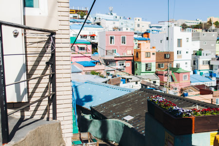 View of Gamcheon Culture village, Busan city, South Korea, Gamcheon-dong, Saha District, beautiful view of streets and multicolored houses in a summer sunny day, Republic of Korea travelの写真素材