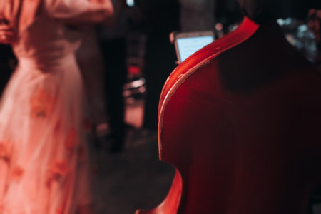 Concert view of violoncello player with vocalist and musical orchestra band, during jazz concert, performing music, violoncellist cello jazz player on stage, old retro vintage contrabassの写真素材