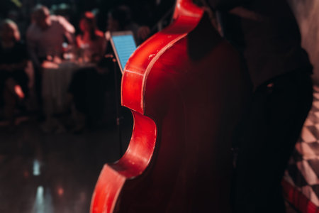 Concert view of violoncello player with vocalist and musical orchestra band, performing music, violoncellist cello jazz player on stage, old retro vintage contrabassの写真素材