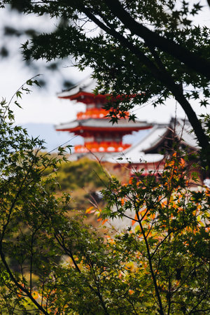 Kiyomizu-dera buddhist temple in Kyoto prefecture, Japan, Higashiyama ward, autumn fall view with mountains, Kyoto streets and skyline, shrine and pagoda, travel to Japan, Kansai regionの写真素材