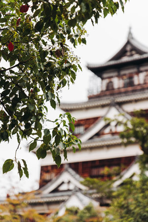 Hiroshima Castle, Hiroshima city, Carp Castle, Japan, autumn fall landscape vibrant view and momiji...