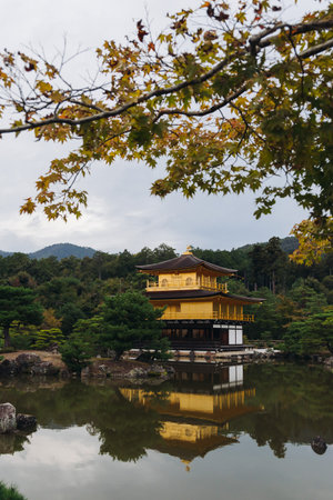 Kinkaku-ji temple golden pavilion, Golden Pavillon garden in Kyoto, Rokuon-ji zen buddhist temple, Deer Garden temple, Japan, Kita-ku Kita ward, autumn fall view, with reflection in a pond, travel to Japanの写真素材