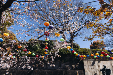 Glover Garden in Nagasaki, Japan, Minamiyamate hill, beautiful park view, with city skyline and cherry sakura blossom, in a spring sunny day with a blue sky, Nagasaki prefecture, Kyushu island regionの写真素材