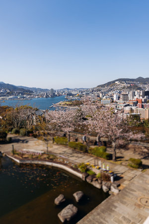 Glover Garden in Nagasaki, Japan, Minamiyamate hill, beautiful park view, with city skyline and cherry sakura blossom, in a spring sunny day with a blue sky, Nagasaki prefecture, Kyushu island regionの写真素材