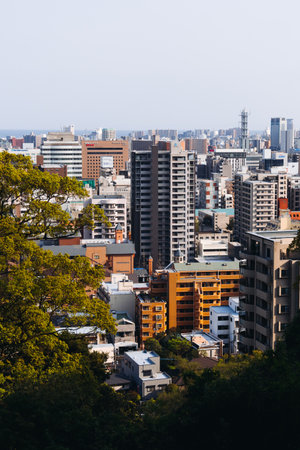 View of Kagoshima city, Japan, Kagoshima prefecture, Kyushu island region, with Sakurajima island volcano and Kagoshima bay, seen from Shiroyama park mountain observatory in a spring day with blue skyの写真素材