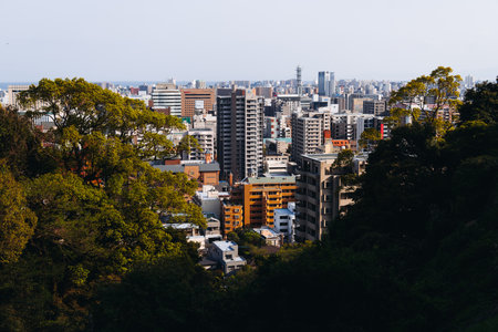 View of Kagoshima city, Japan, Kagoshima prefecture, Kyushu island region, with Sakurajima island volcano and Kagoshima bay, seen from Shiroyama park mountain observatory in a spring day with blue skyの写真素材