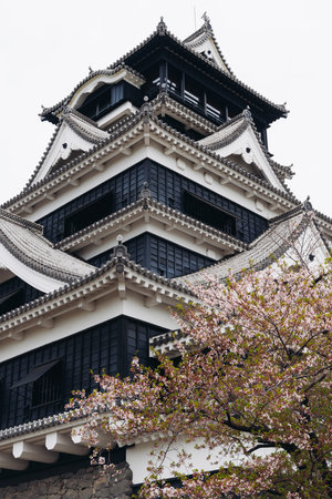 Kumamoto Castle, exterior view, Kumamoto city, Chuo-ku, Kyushu island region, Japan, spring...