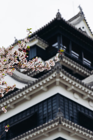 Kumamoto Castle, exterior view, Kumamoto city, Chuo-ku, Kyushu island region, Japan, spring...