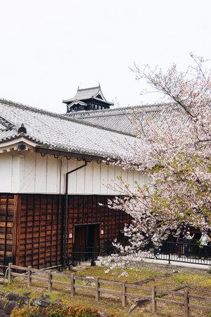 Kumamoto Castle, exterior view, Kumamoto city, Chuo-ku, Kyushu island region, Japan, spring...