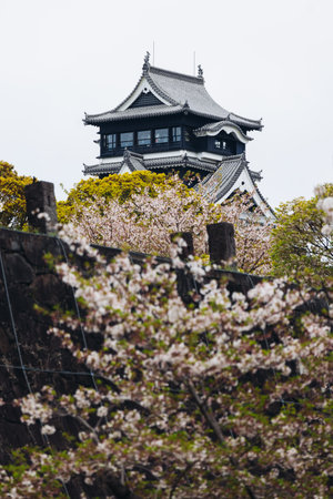 Kumamoto Castle, exterior view, Kumamoto city, Chuo-ku, Kyushu island region, Japan, spring...