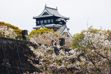 Kumamoto Castle, exterior view, Kumamoto city, Chuo-ku, Kyushu island region, Japan, spring...