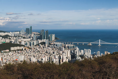 Busan city panorama beautiful skyline view from Hwangnyeongsan mountain observatory, Busan port, Gwangan bridge and harbor bay, South Korea, Yeongnam district, sunny day, travel to Republic of Koreaの写真素材