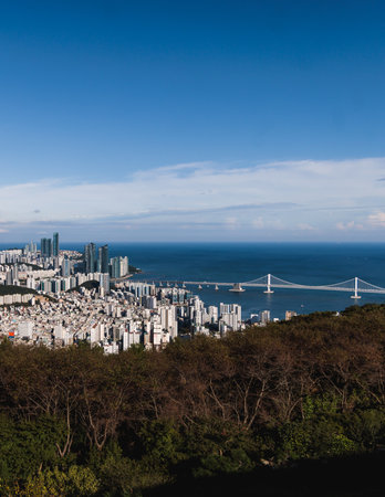 Busan city panorama beautiful skyline view from Hwangnyeongsan mountain observatory, Busan port, Gwangan bridge and harbor bay, South Korea, Yeongnam district, sunny day, travel to Republic of Koreaの写真素材