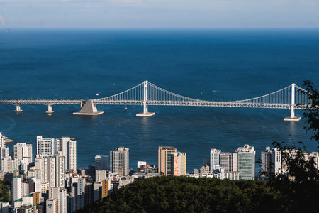 Busan city panorama beautiful skyline view from Hwangnyeongsan mountain observatory, Busan port, Gwangan bridge and harbor bay, South Korea, Yeongnam district, sunny day, travel to Republic of Koreaの写真素材