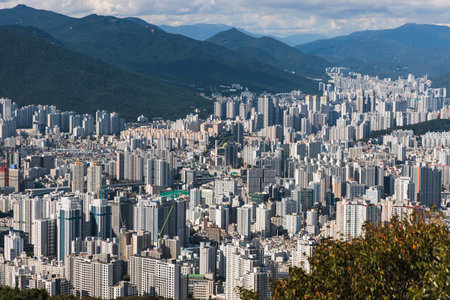 Busan city panorama beautiful skyline view from Hwangnyeongsan mountain observatory, port, bridge...