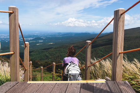 Hallasan National Park, Jeju island, South Korea, vibrant view of trail with a wooden ladder path stairs, trekking and climbing, stairway to Halla mountain summit, hiking in Korea, Jeju-do, sunny dayの写真素材