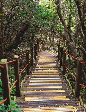 Hallasan National Park, Jeju island, South Korea, vibrant view of trail with a wooden ladder path stairs, trekking and climbing, stairway to Halla mountain summit, hiking in Korea, Jeju-do, sunny dayの写真素材