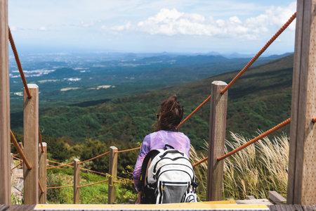 Hallasan National Park, Jeju island, South Korea, vibrant view of trail with a wooden ladder path...