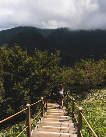 Hallasan National Park, Jeju island, South Korea, vibrant view of trail with a wooden ladder path...