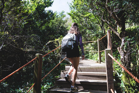 Hallasan National Park, Jeju island, South Korea, vibrant view of trail with a wooden ladder path...