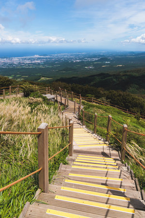 Hallasan National Park, Jeju island, South Korea, vibrant view of trail with a wooden ladder path...