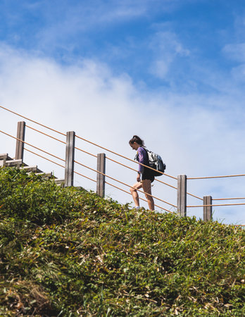 Hallasan National Park, Jeju island, South Korea, vibrant view of trail with a wooden ladder path...