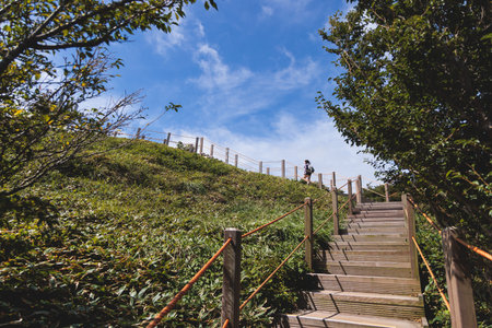 Hallasan National Park, Jeju island, South Korea, vibrant view of trail with a wooden ladder path...