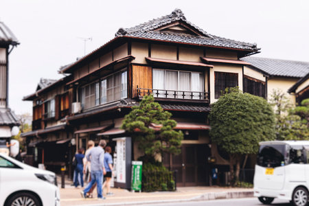 Nara, Japan, Nara Park landscape, Nara city view with buddhist temples and shinto shrines, Nara...
