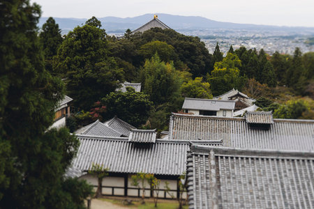 Nara, Japan, Nara Park landscape, Nara city view with buddhist temples and shinto shrines, Nara...