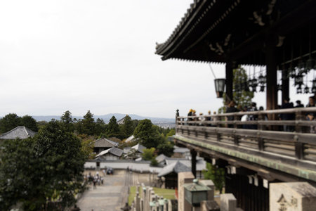 Nara, Japan, Nara Park landscape, Nara city view with buddhist temples and shinto shrines, Nara...