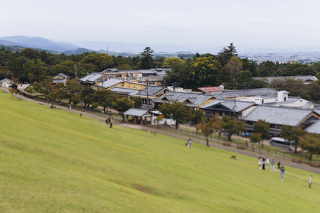Nara, Japan, Nara Park landscape, Nara city view with buddhist temples and shinto shrines, Nara...