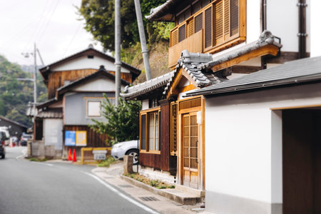 Ine Fishing Village, Kyoto prefecture, Japan, Ine-ura landscape coastal view, Funaya, traditional...