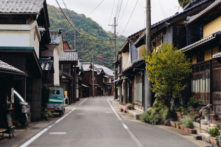 Ine Fishing Village, Kyoto prefecture, Japan, Ine-ura landscape coastal view, Funaya, traditional...