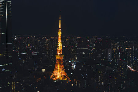 Tokyo Tower, Tokyo, Shiba-koen in Minato City, Japan, night aerial view of tower with rooftops and...