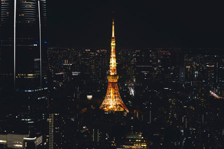 Tokyo Tower, Tokyo, Shiba-koen in Minato City, Japan, night aerial view of with rooftops and...