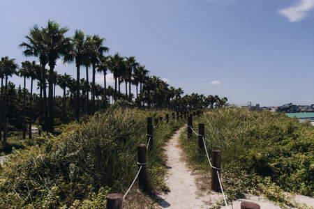 white sand beach and sea, landscape view in a sunny day, and Biyangdo island