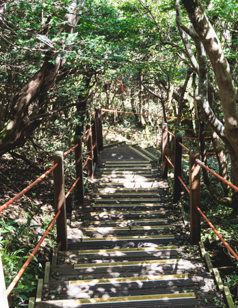 Hallasan National Park, Jeju island, South Korea, vibrant view of trail with a wooden ladder path...