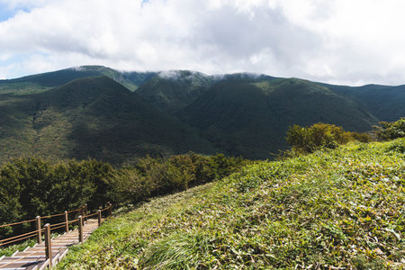 Hallasan National Park, Jeju island, South Korea, vibrant view of trail with a wooden ladder path...
