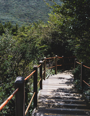 Hallasan National Park, Jeju island, South Korea, vibrant view of trail with a wooden ladder path...