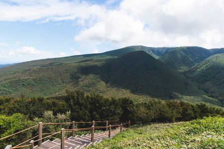 Hallasan National Park, Jeju island, South Korea, vibrant view of trail with a wooden ladder path...