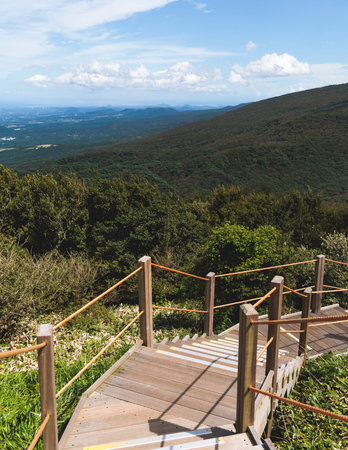 Hallasan National Park, Jeju island, South Korea, vibrant view of trail with a wooden ladder path...