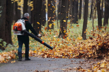 Removing fallen autumn leaves in the park with electric cordless air blower, process of blowing,...