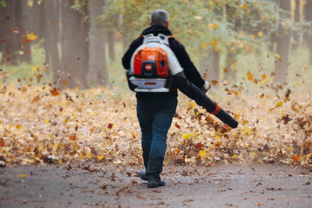 Removing fallen autumn leaves in the park with electric cordless air blower, process of blowing,...