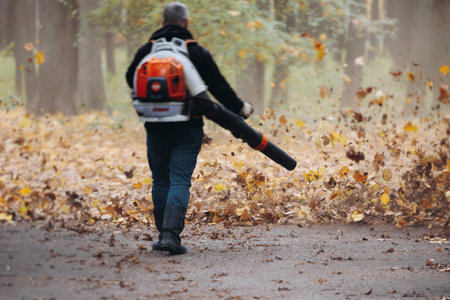 Removing fallen autumn leaves in the park with electric cordless air blower, process of blowing,...