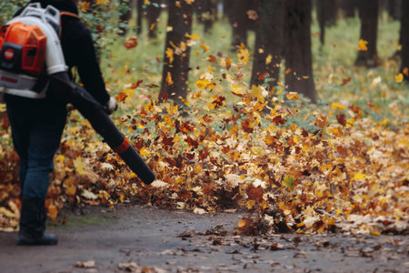 Removing fallen autumn leaves in the park with electric cordless air blower, process of blowing,...