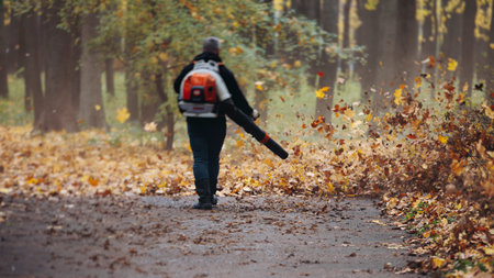 Removing fallen autumn leaves in the park with electric cordless air blower, process of blowing,...