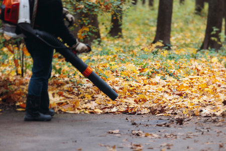 Removing fallen autumn leaves in the park with electric cordless air blower, process of blowing,...