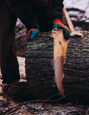 Lumberjack woodcutter with chainsaw in uniform cutting a massive tree in the winter forest, logger...